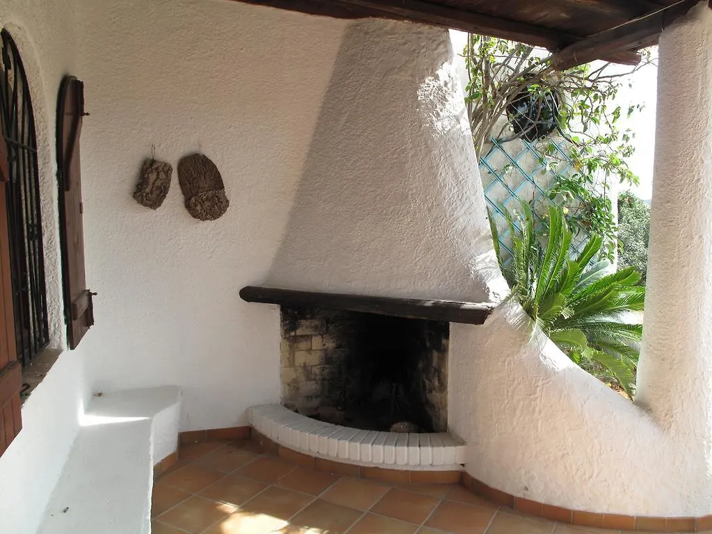 Villa Chia Aloe & Cactus