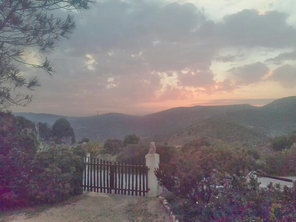 Holiday home Chia Aloe & Cactus Villa Italy