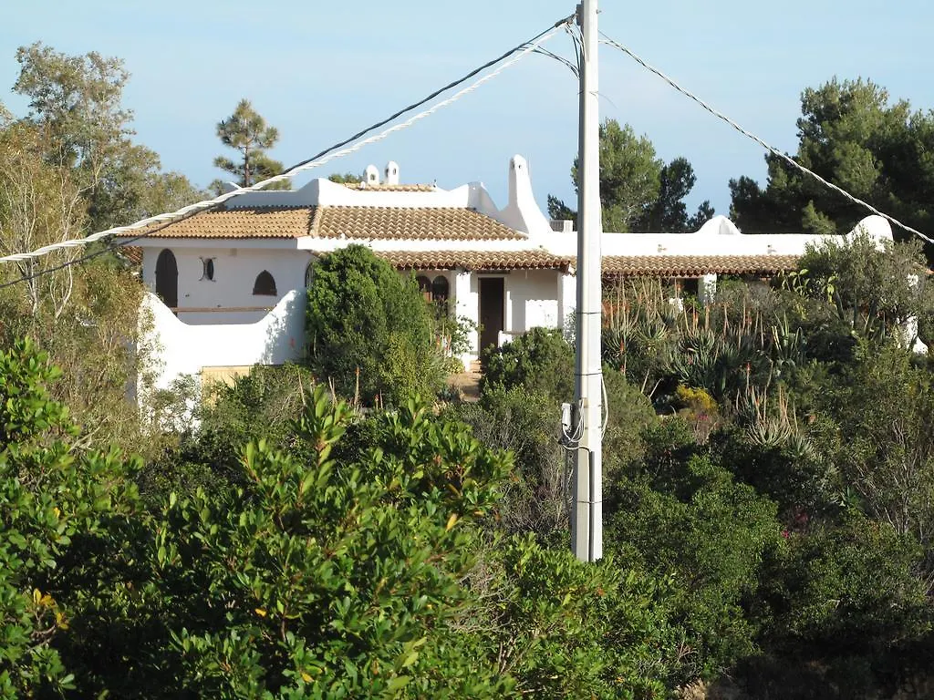 Chia Aloe & Cactus Villa Holiday home
